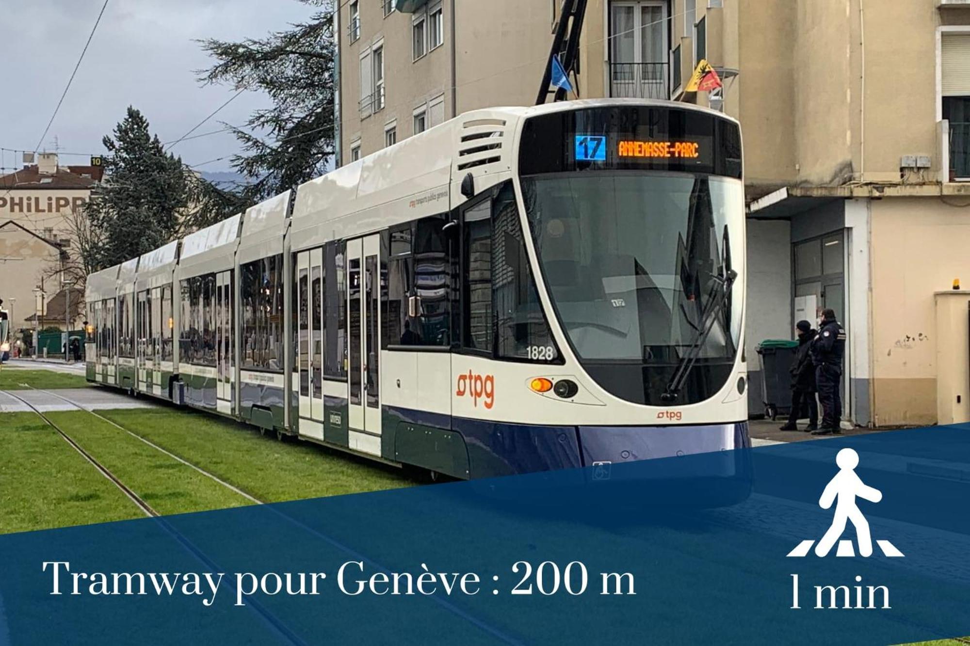 Homey Wild - Proche Gare Et Tram - Proche Centre - Balcon Prive - Parking Prive - Wifi Gratuit Annemasse Zewnętrze zdjęcie